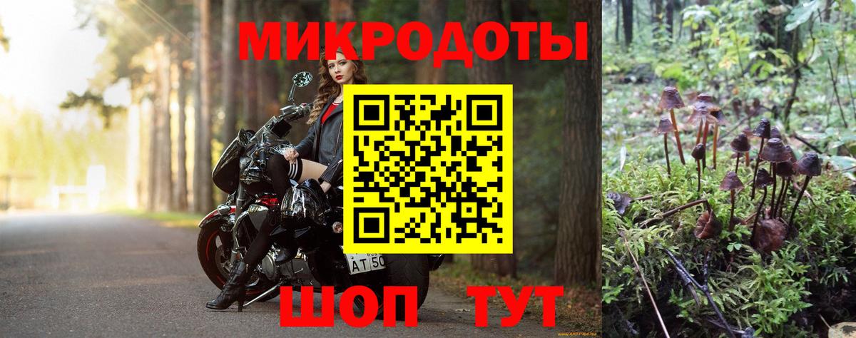 Псилоцибиновые грибы прущие грибы Тверь