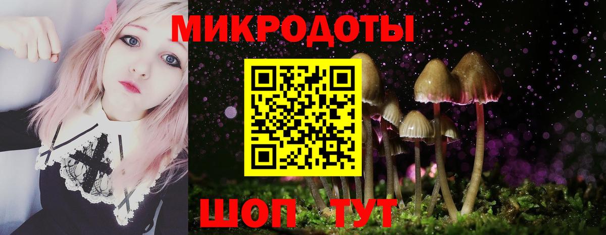 Тверь  Галлюциногенные грибы мицелий  Вход с VPN 